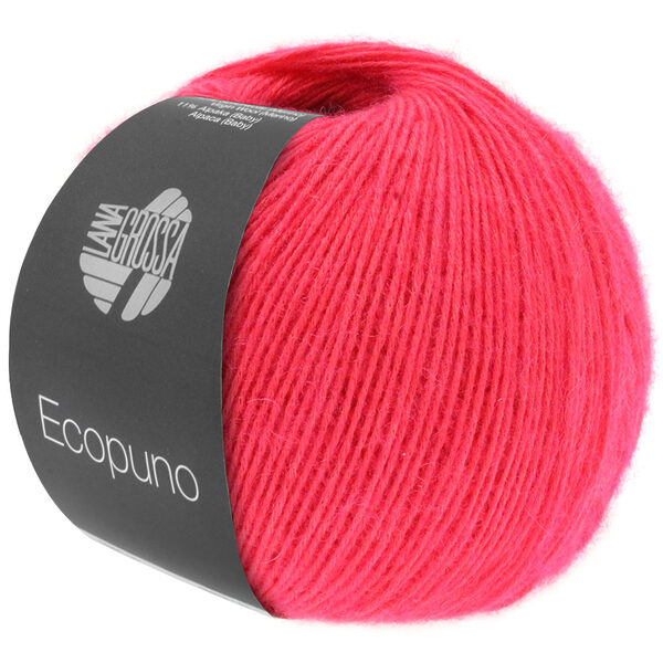 ECOPUNO – Bild 26