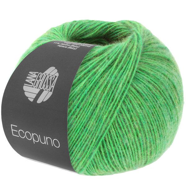 ECOPUNO – Bild 55