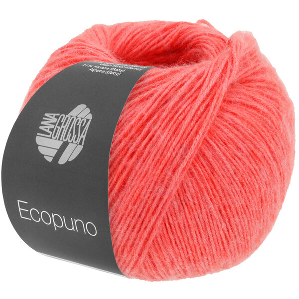 ECOPUNO – Bild 58
