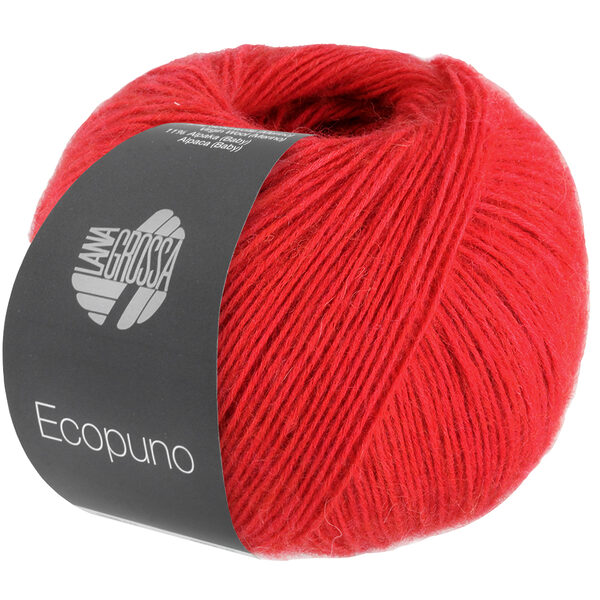 ECOPUNO – Bild 68